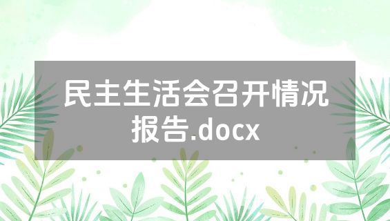 民主生活会召开情况报告.docx