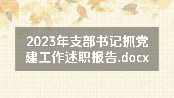 2023年支部书记抓党建工作述职报告.docx
