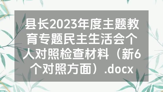 县长2023年度主题教育专题民主生活会个人对照检查材料（新6个对照方面）.docx