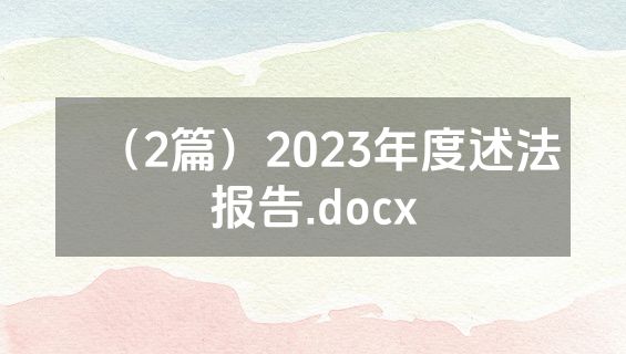 （2篇）2023年度述法报告.docx