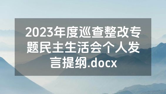 2023年度巡查整改专题民主生活会个人发言提纲.docx
