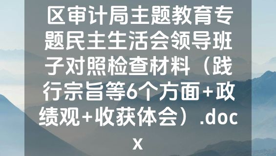 区审计局主题教育专题民主生活会领导班子对照检查材料（践行宗旨等6个方面+政绩观+收获体会）.docx