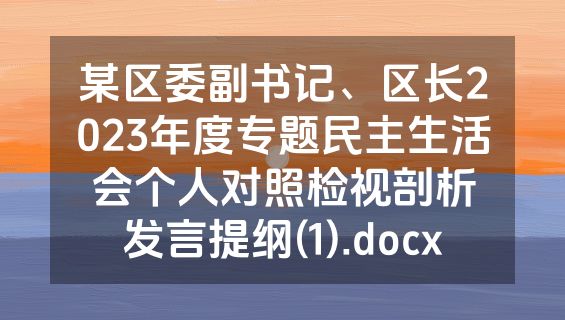 某区委副书记、区长2023年度专题民主生活会个人对照检视剖析发言提纲(1).docx