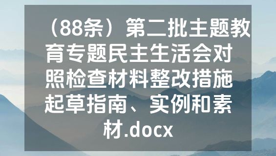 （88条）第二批主题教育专题民主生活会对照检查材料整改措施起草指南、实例和素材.docx