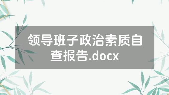 领导班子政治素质自查报告.docx