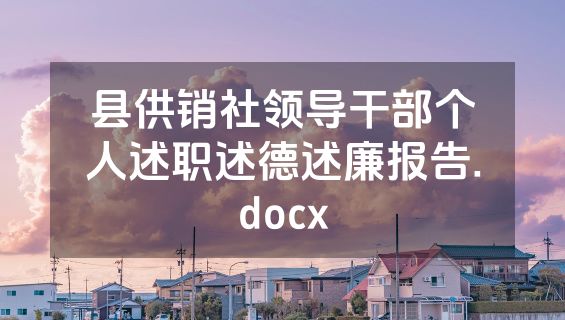 县供销社领导干部个人述职述德述廉报告.docx