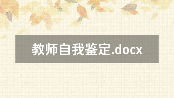 教师自我鉴定.docx