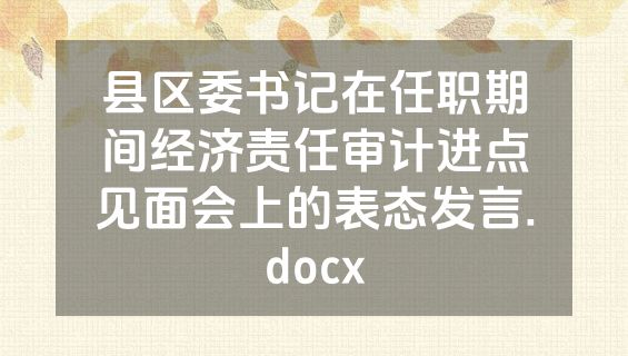 县区委书记在任职期间经济责任审计进点见面会上的表态发言.docx