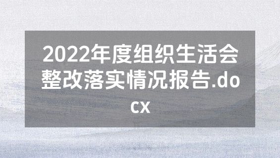 2022年度组织生活会整改落实情况报告.docx
