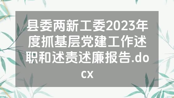 县委两新工委2023年度抓基层党建工作述职和述责述廉报告.docx