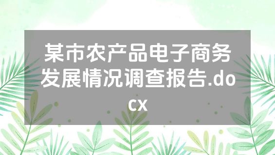 某市农产品电子商务发展情况调查报告.docx