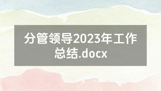 分管领导2023年工作总结.docx