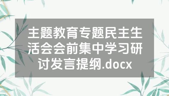 主题教育专题民主生活会会前集中学习研讨发言提纲.docx