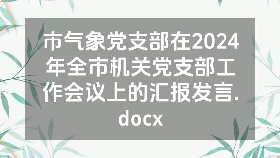 市气象党支部在2024年全市机关党支部工作会议上的汇报发言.docx