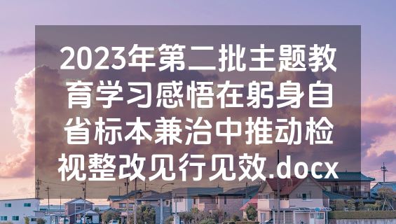 2023年第二批主题教育学习感悟在躬身自省标本兼治中推动检视整改见行见效.docx