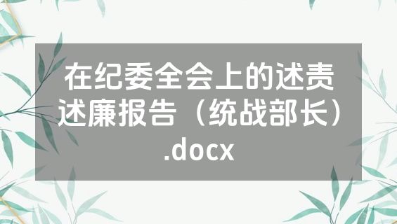 在纪委全会上的述责述廉报告（统战部长）.docx