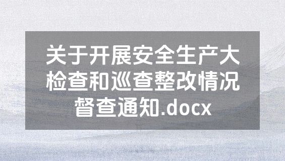 关于开展安全生产大检查和巡查整改情况督查通知.docx