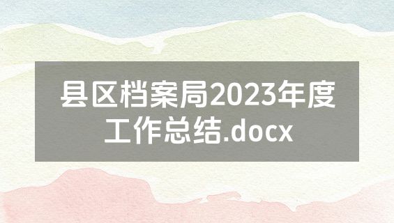 县区档案局2023年度工作总结.docx