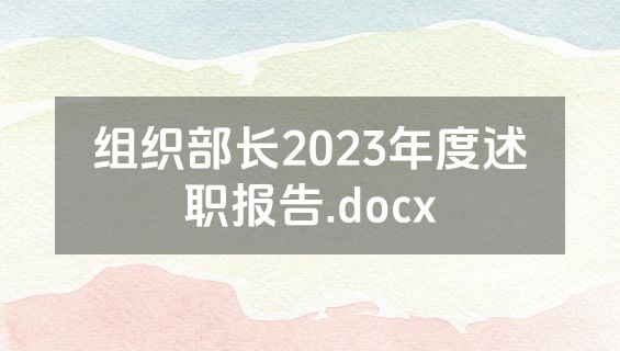 组织部长2023年度述职报告.docx
