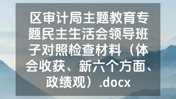 区审计局主题教育专题民主生活会领导班子对照检查材料（体会收获、新六个方面、政绩观）.docx