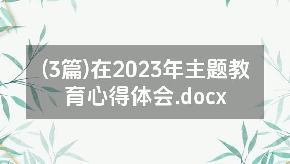 (3篇)在2023年主题教育心得体会.docx