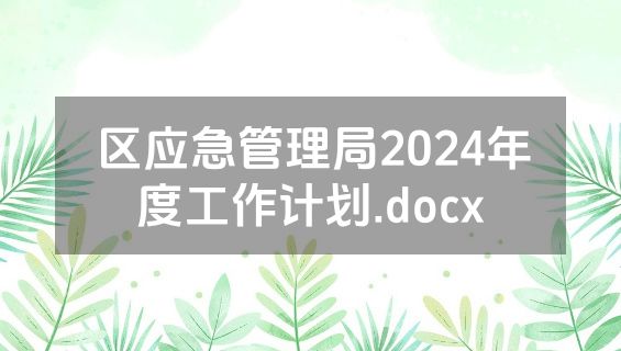 区应急管理局2024年度工作计划.docx