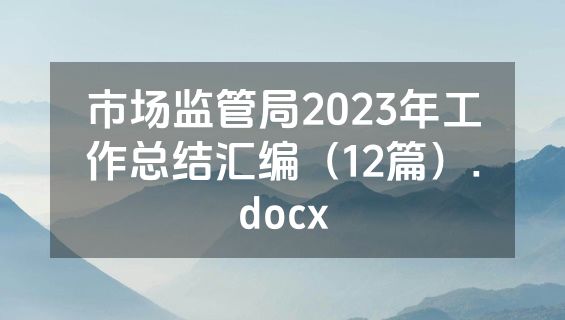 市场监管局2023年工作总结汇编（12篇）.docx