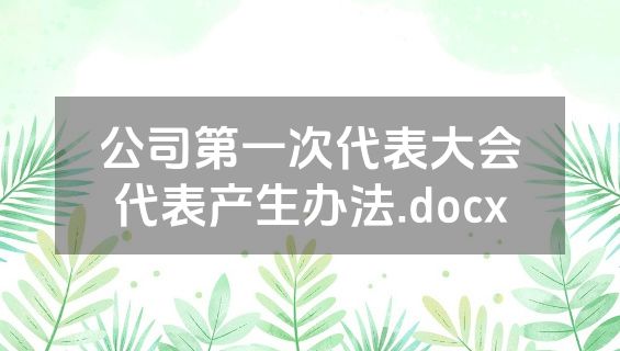 公司第一次代表大会代表产生办法.docx