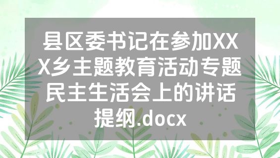 县区委书记在参加XXX乡主题教育活动专题民主生活会上的讲话提纲.docx