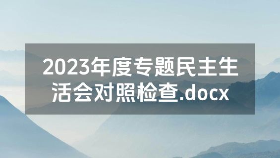 2023年度专题民主生活会对照检查.docx
