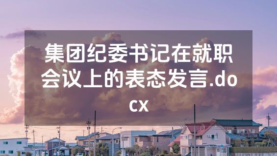 集团纪委书记在就职会议上的表态发言.docx