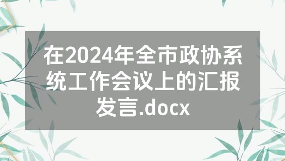 在2024年全市政协系统工作会议上的汇报发言.docx