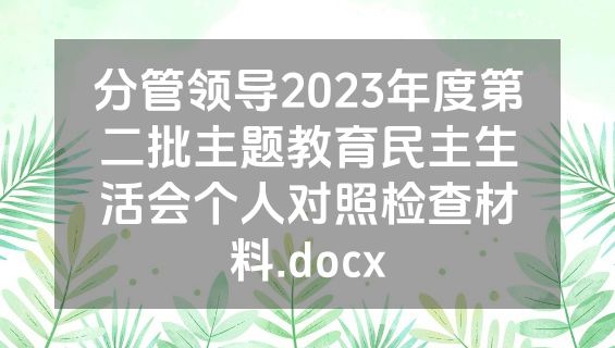 分管领导2023年度第二批主题教育民主生活会个人对照检查材料.docx