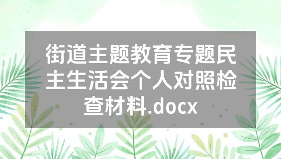 街道主题教育专题民主生活会个人对照检查材料.docx
