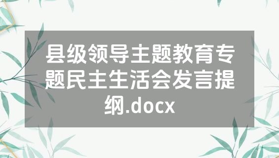 县级领导主题教育专题民主生活会发言提纲.docx