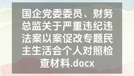 国企党委委员、财务总监关于严重违纪违法案以案促改专题民主生活会个人对照检查材料.docx