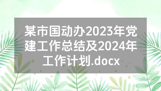 某市国动办2023年党建工作总结及2024年工作计划.docx