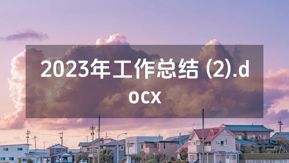 2023年工作总结 (2).docx