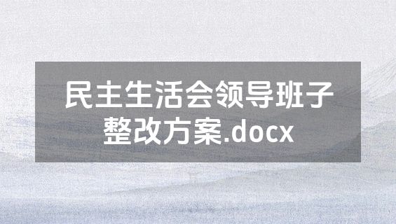 民主生活会领导班子整改方案.docx