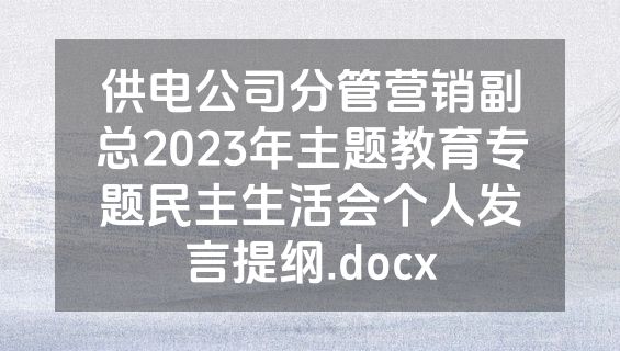 供电公司分管营销副总2023年主题教育专题民主生活会个人发言提纲.docx