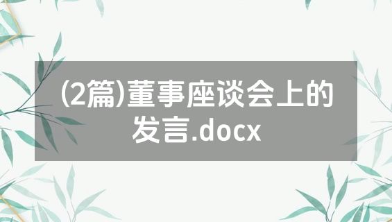 (2篇)董事座谈会上的发言.docx