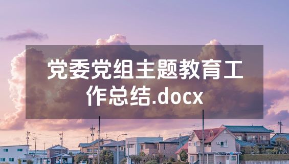 党委党组主题教育工作总结.docx