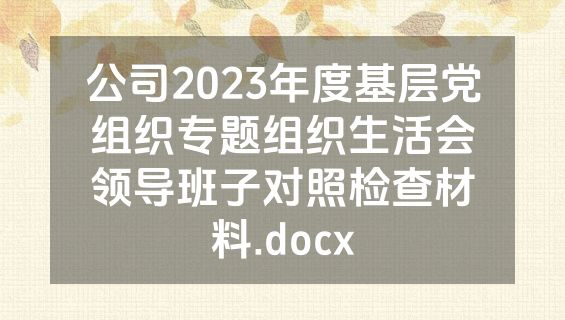 公司2023年度基层党组织专题组织生活会领导班子对照检查材料.docx