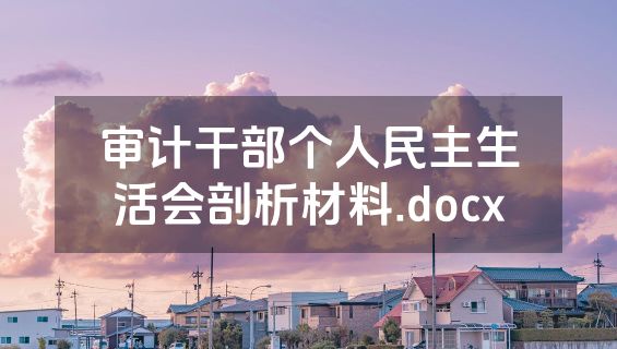 审计干部个人民主生活会剖析材料.docx