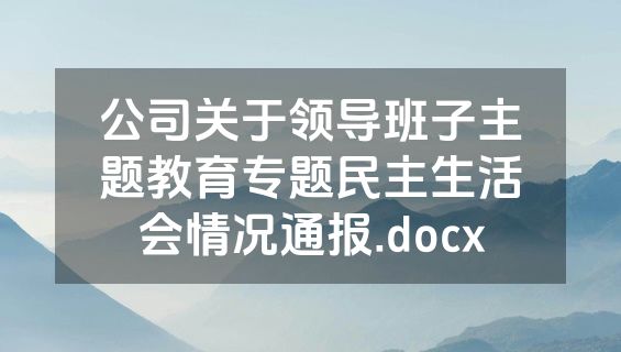 公司关于领导班子主题教育专题民主生活会情况通报.docx