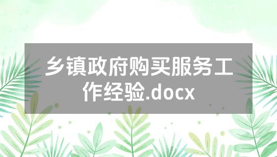 乡镇政府购买服务工作经验.docx