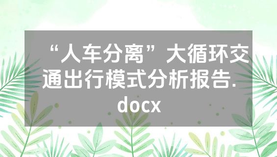 “人车分离”大循环交通出行模式分析报告.docx