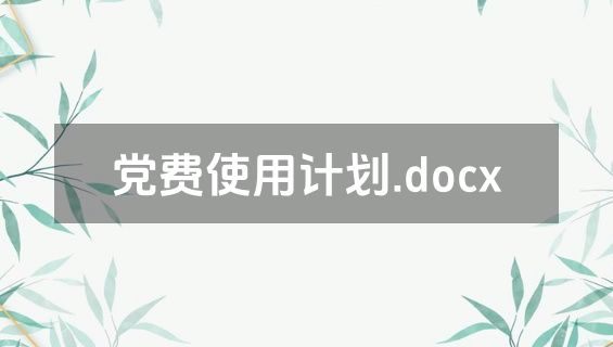 党费使用计划.docx