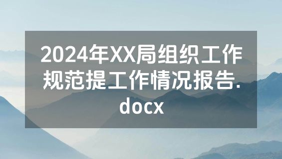 2024年XX局组织工作规范提工作情况报告.docx