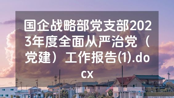 国企战略部党支部2023年度全面从严治党（党建）工作报告(1).docx